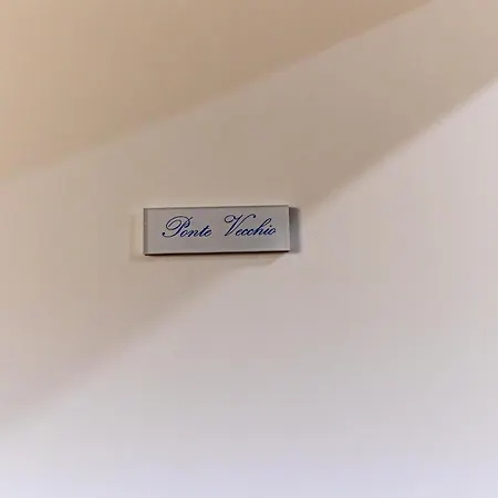 Eleven Guest house *